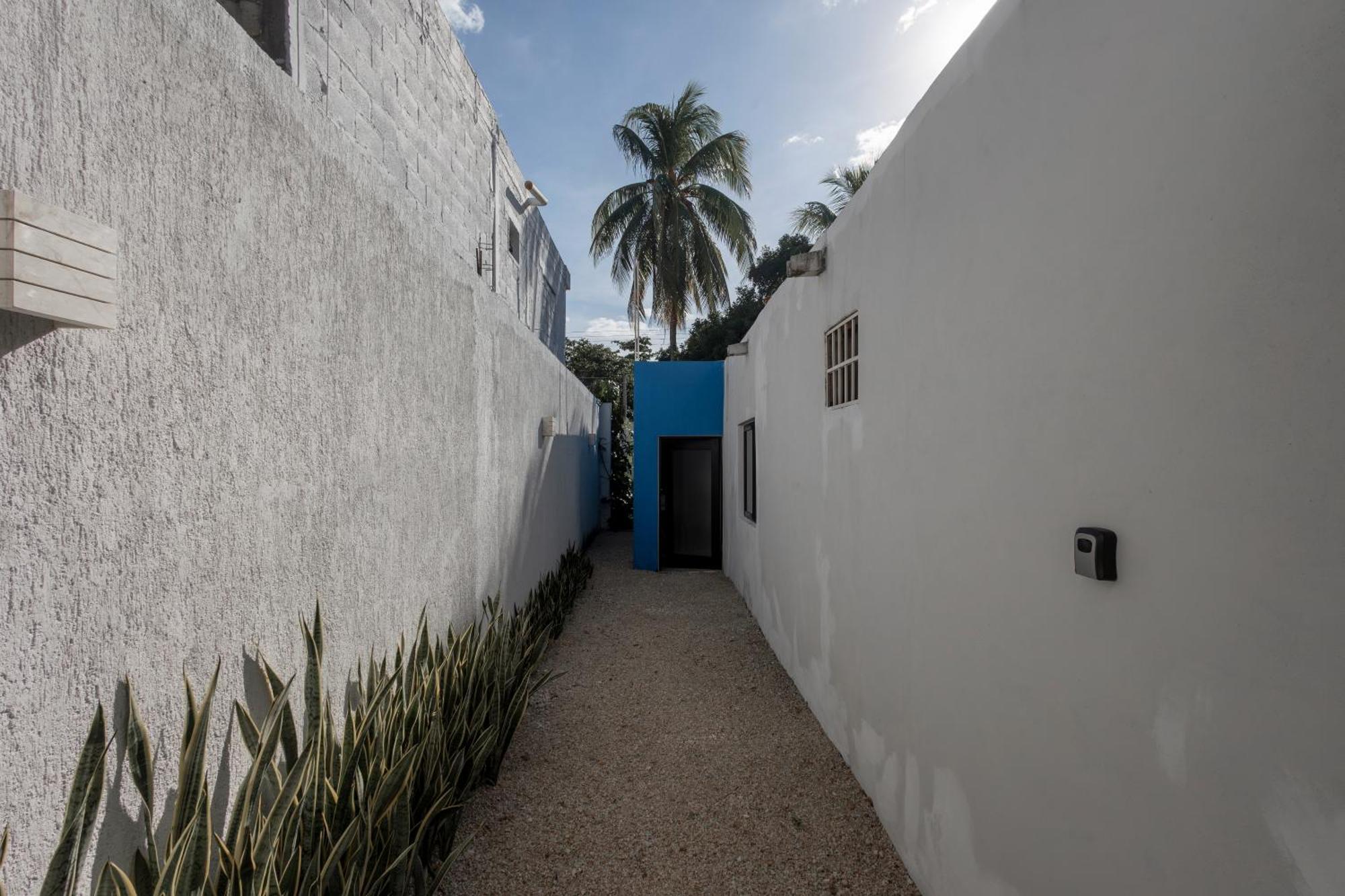 La Sultana: Amazing New House With Pool And Bikes Included. Villa Valladolid  Dış mekan fotoğraf