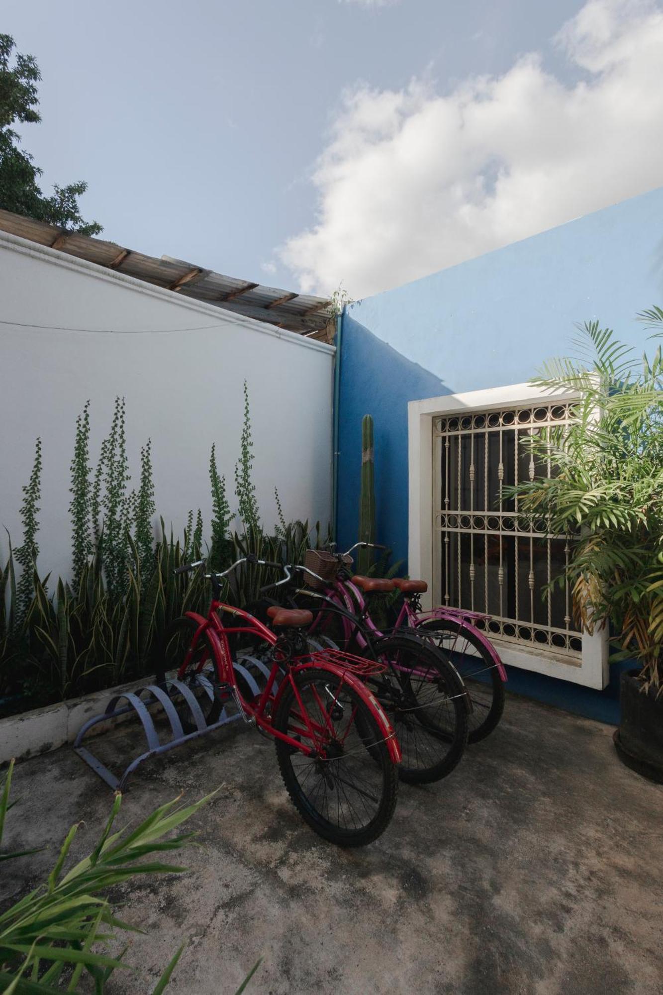 La Sultana: Amazing New House With Pool And Bikes Included. Villa Valladolid  Dış mekan fotoğraf